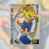 POSTER RONALDO LUIS NAZARIO DE LIMA KOREA-JAPAN 2002 FORMATO 21x29 CM