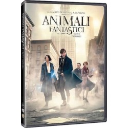 ANIMALI FANTASTICI E DOVE TROVARLI IN DVD