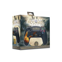 CONTROLLER SWITCH/PC HOGWARTS LEGACY
